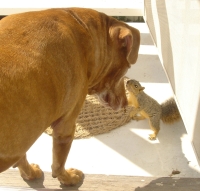 Peanut and little hairy friend